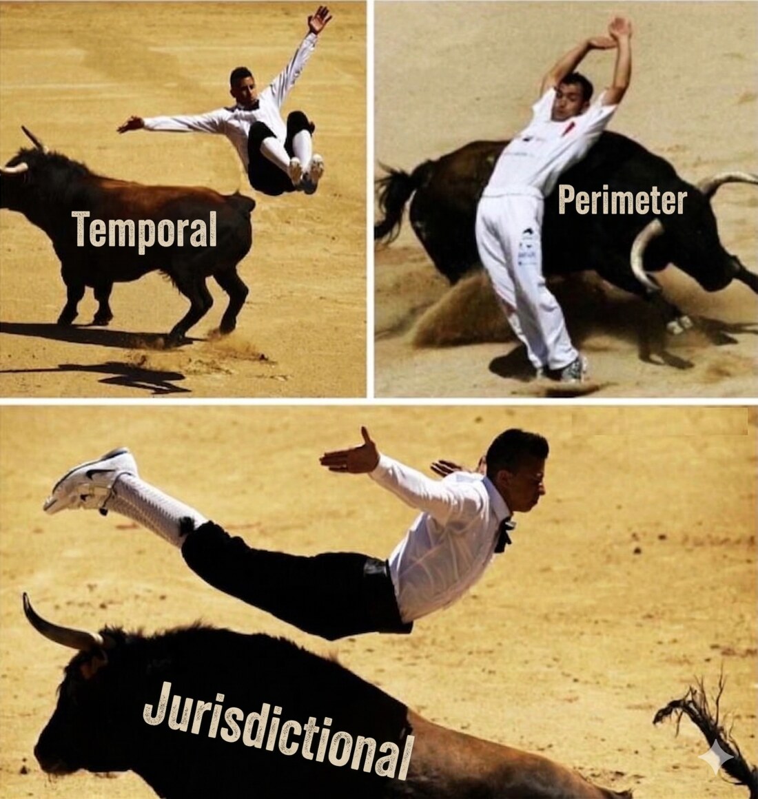 A man acrobatically leaping clear of three charging bulls, each labelled with one of the three audit gaps — Temporal, Perimeter, and Jurisdictional.