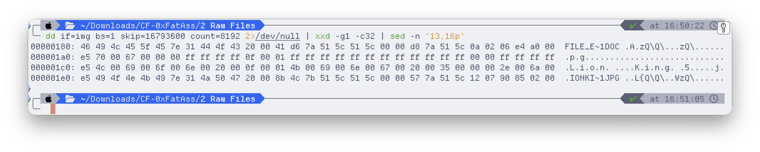 Hex dump of the deleted directory entries, each starting with 0xE5