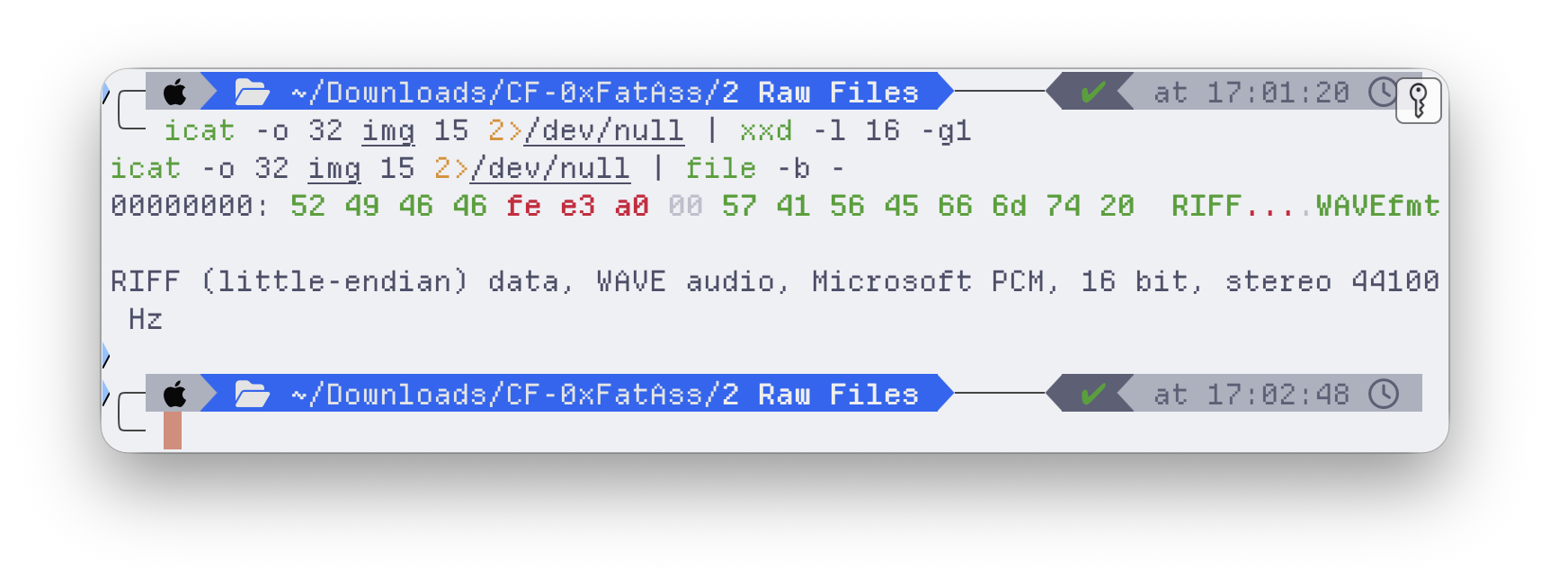 A .docx whose bytes spell RIFF…WAVE — it is a WAV audio file