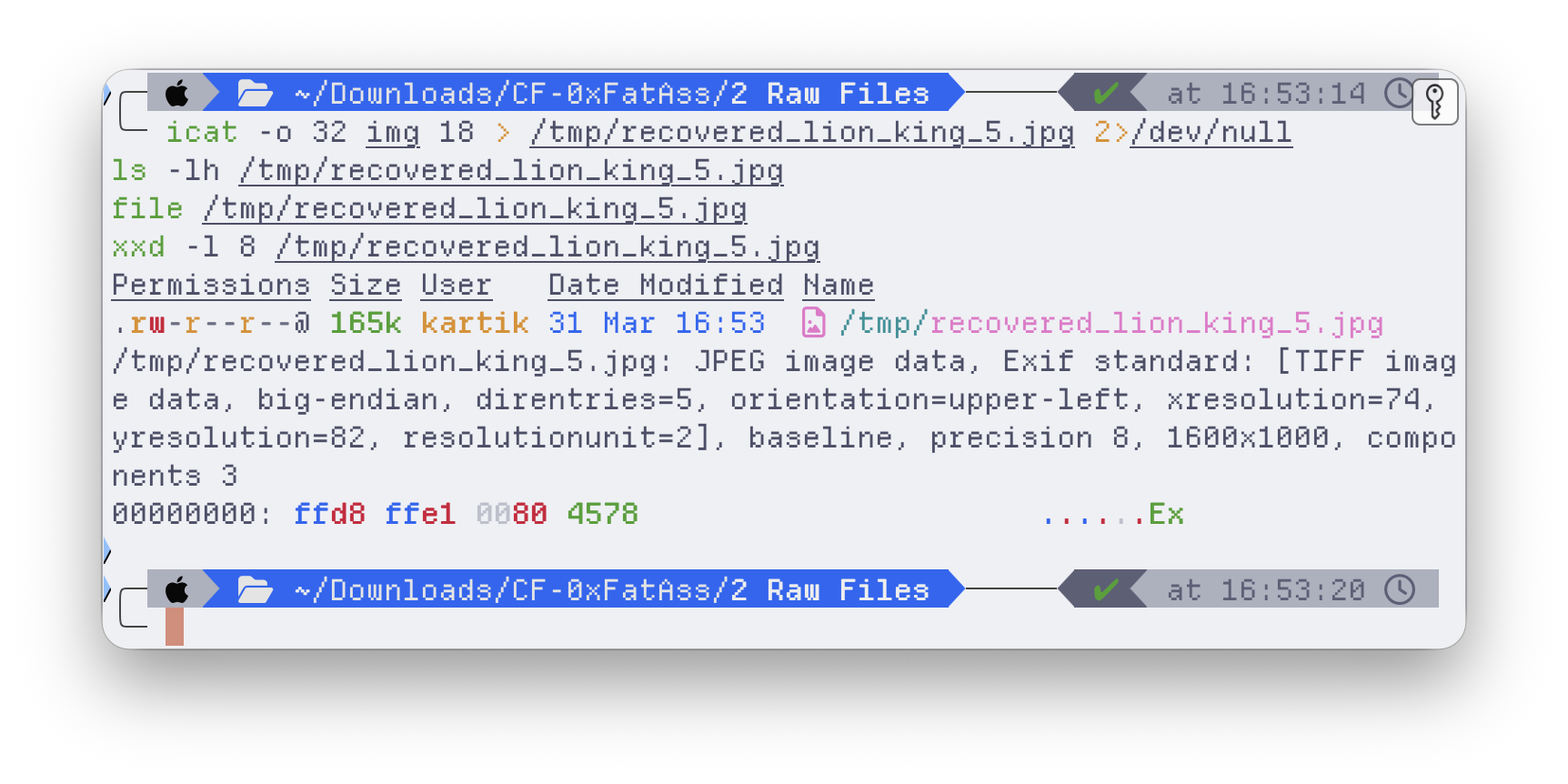 Recovered JPEG verified by its FF D8 FF E1 magic bytes